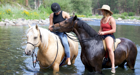 The Unspoken Value of Community: How Equestrianism Fosters Connections