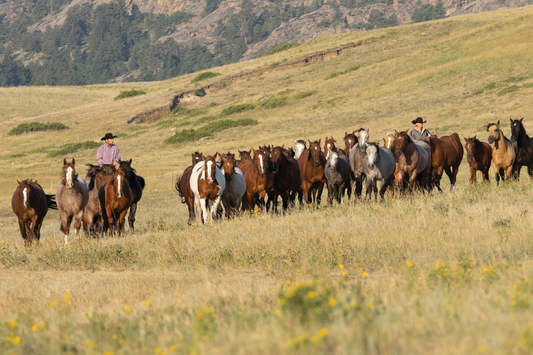 Ranch Riding in the Northwest