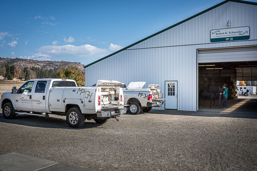 McKinlay & Peters Equine Hospital