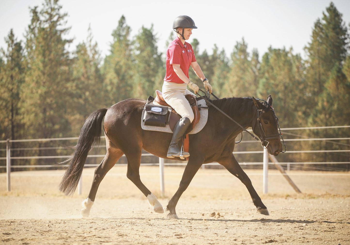 McKinlay & Peters Equine Hospital