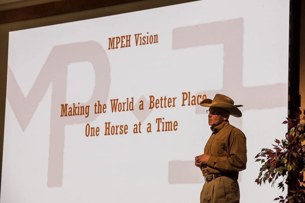 McKinlay & Peters Equine Hospital