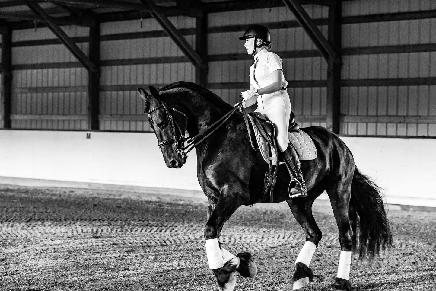 Grace Safranski Dressage