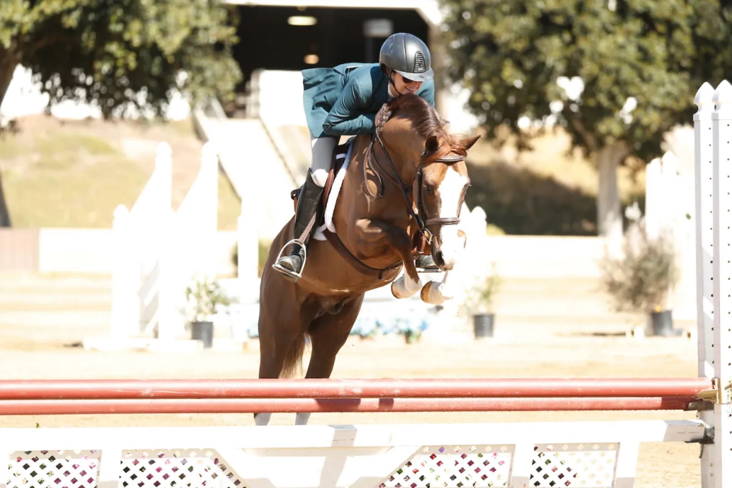 Northwest Sporthorse