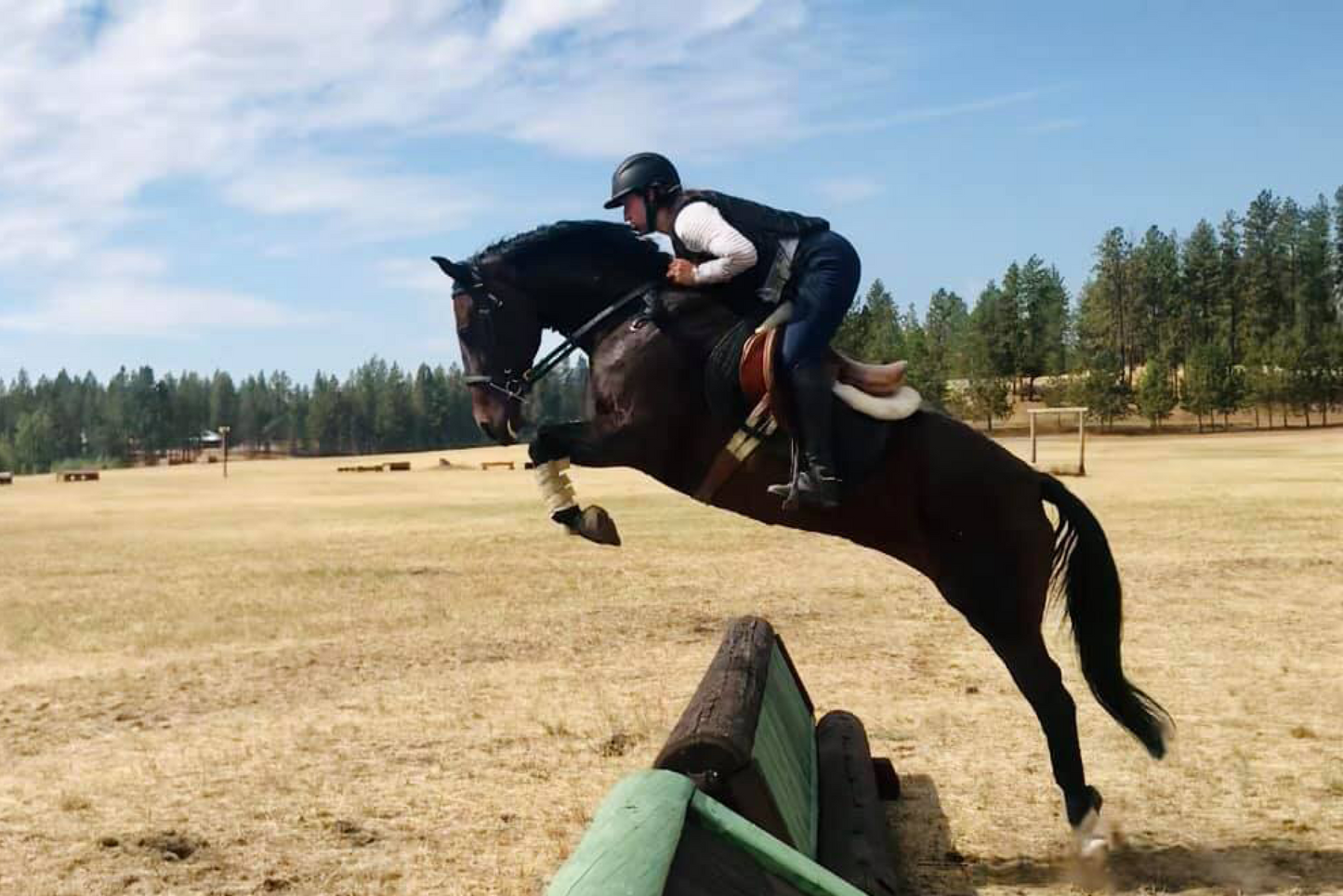 Four Seasons Eventing And Sales