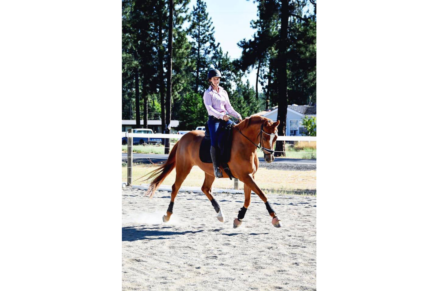 Four Seasons Eventing And Sales