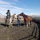 Monte - Tobiano Gypsy Vanner x Azteca Gelding