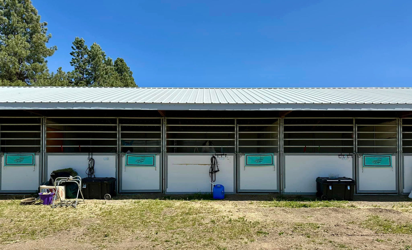 Leading Edge Equestrian Center - Lois James