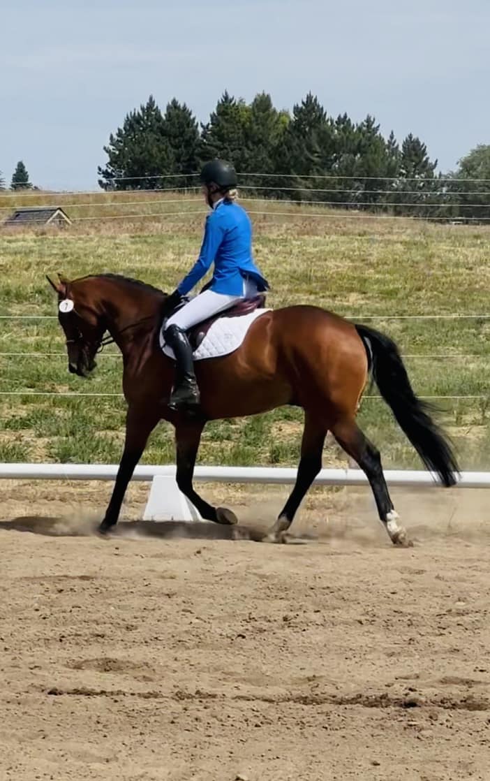 Leading Edge Equestrian Center - Lois James