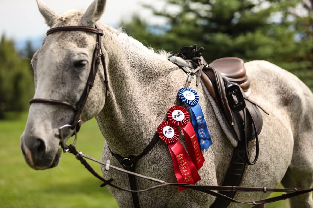 Leading Edge Equestrian Center - Lois James