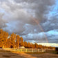 Leading Edge Equestrian Center - Lois James