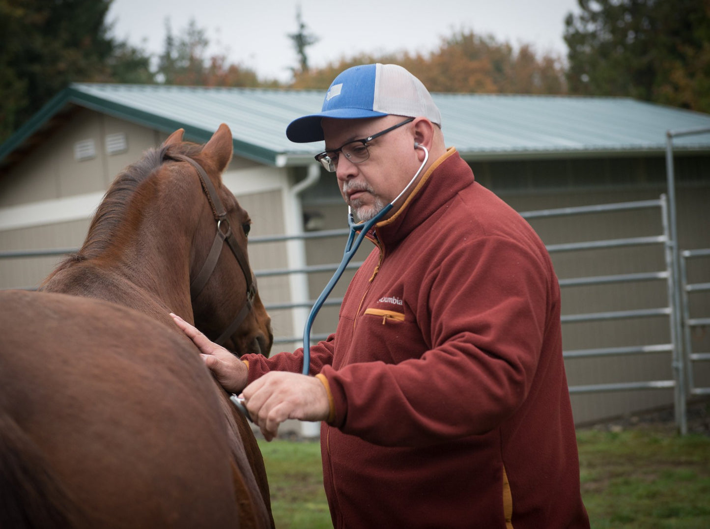 Clover Valley Veterinary Hospital