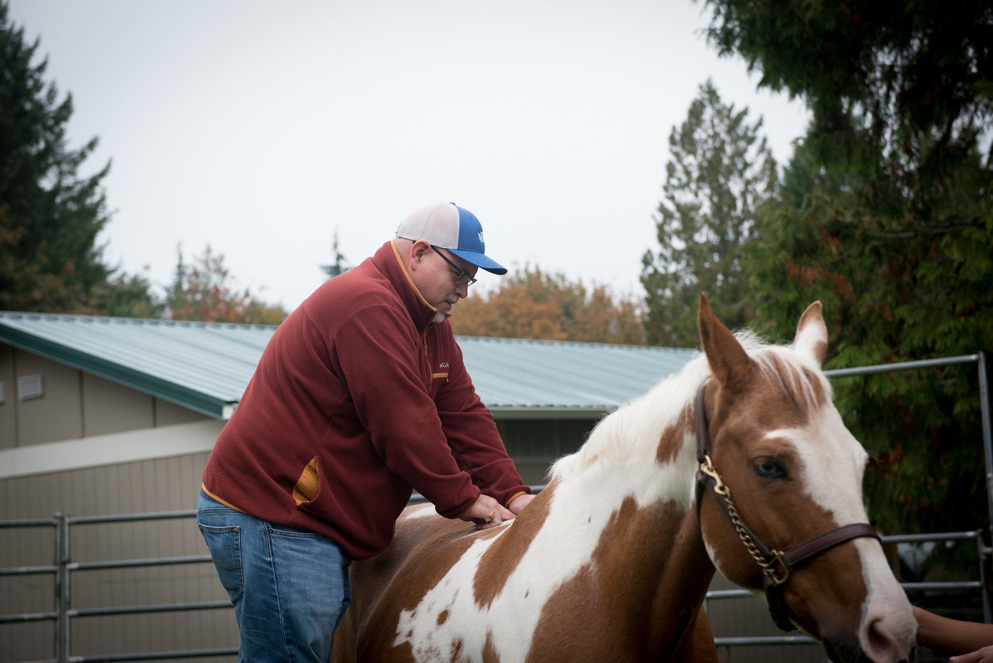 Clover Valley Veterinary Hospital