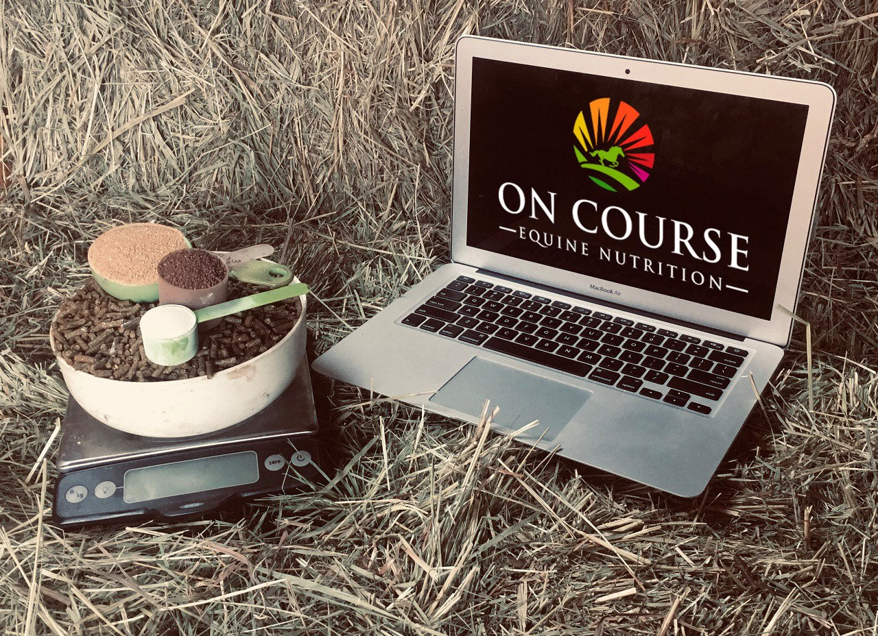 On Course Equine Nutrition