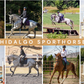 Hidalgo Sporthorse