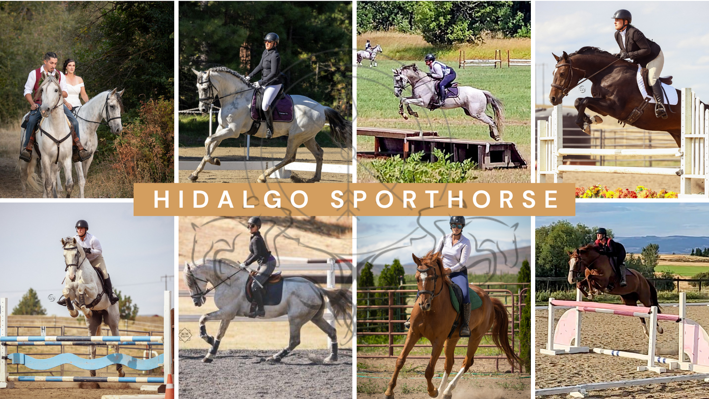 Hidalgo Sporthorse