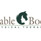 Stable Body Physical Therapy