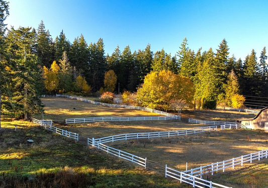 Whistle Lake Farm