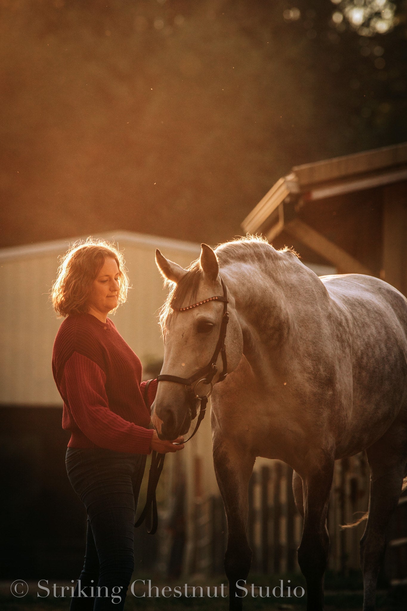 Striking Chestnut Photography