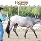 Precision Performance Horses