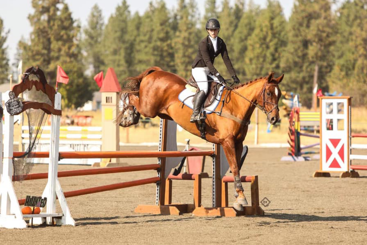 Four Seasons Eventing And Sales