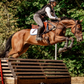 Four Seasons Eventing And Sales