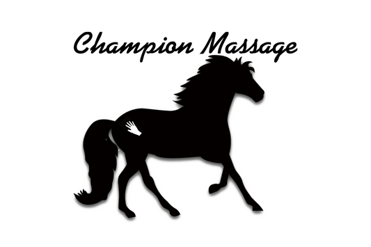 Champion Massage