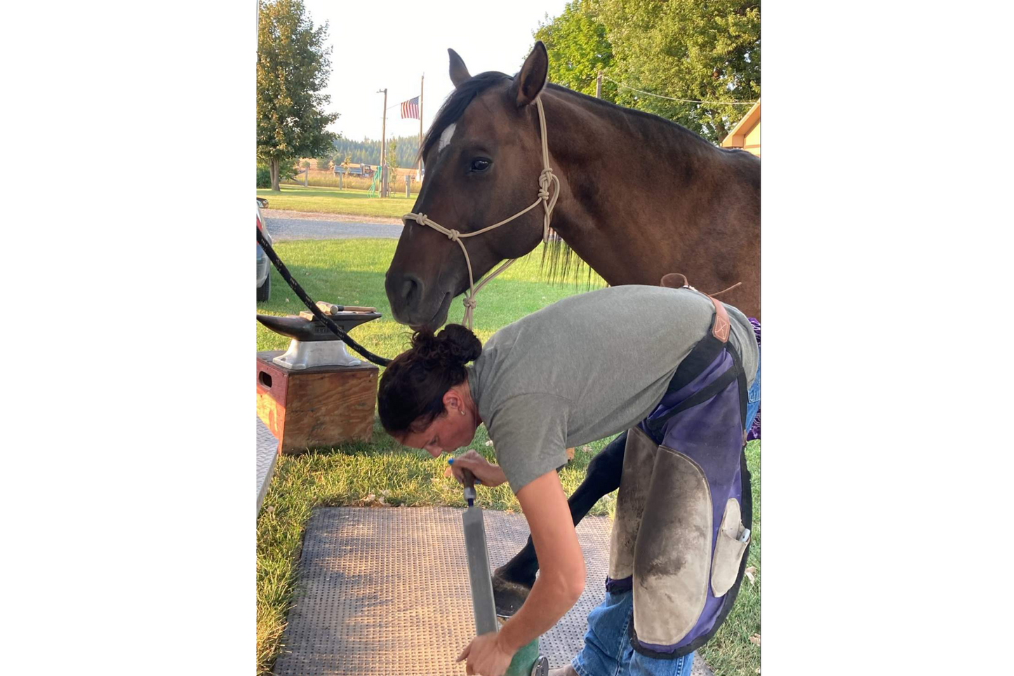 H4 Farrier services