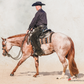 Precision Performance Horses