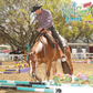 Precision Performance Horses
